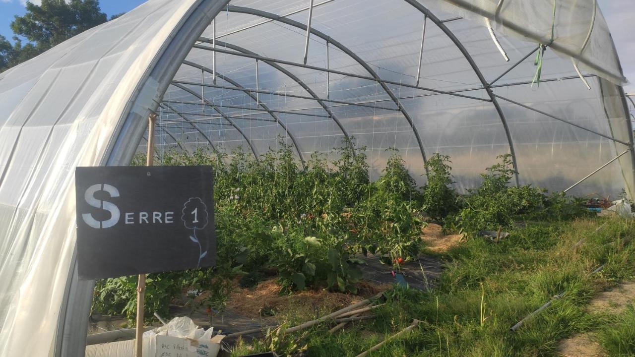 Eco-Gite A La Ferme D'Elles Saint-Andre-de-l'Epine Eksteriør bilde